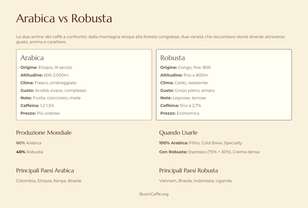 Infografica Arabica vs Robusta: confronto completo tra origine, altitudine, gusto, caffeina e utilizzo
