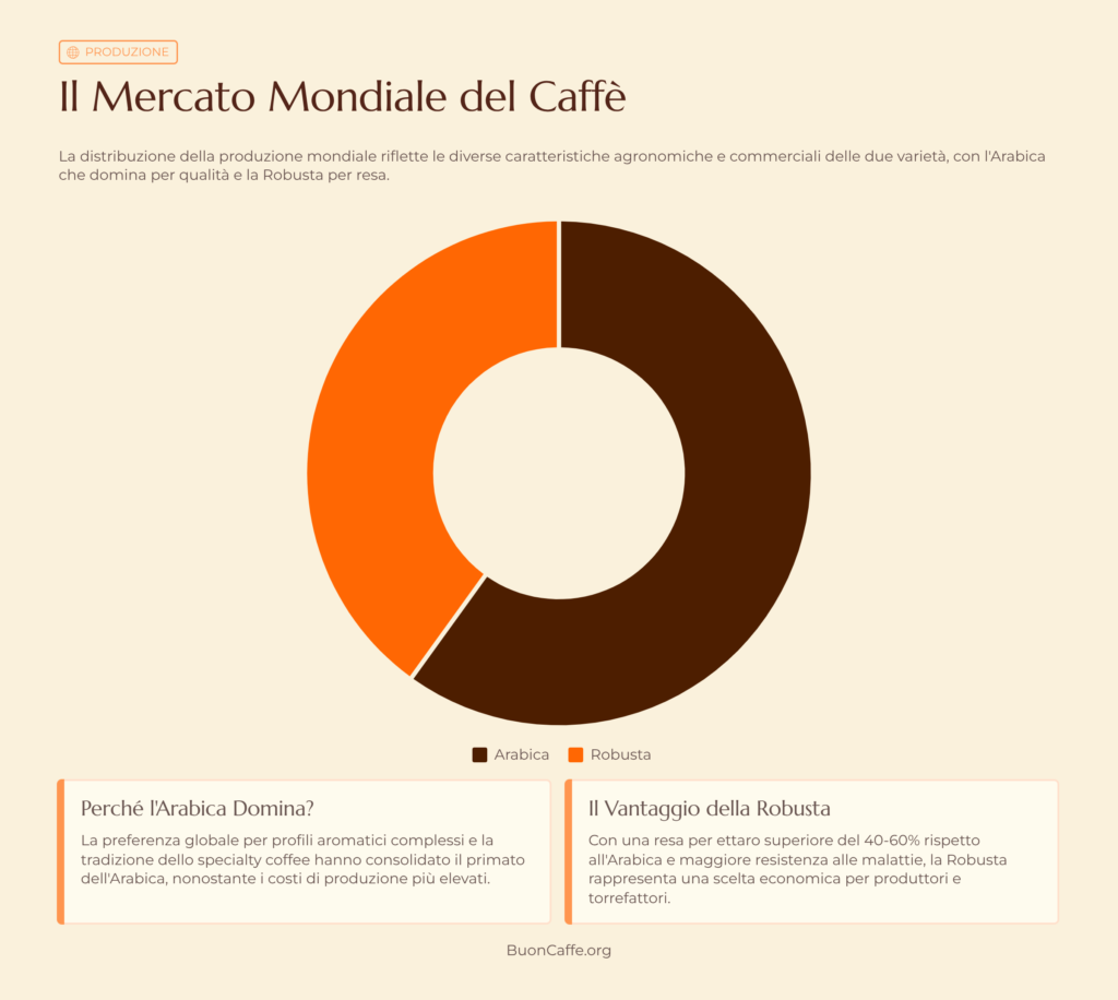 Grafico produzione mondiale di caffè: 60% Arabica e 40% Robusta - distribuzione globale